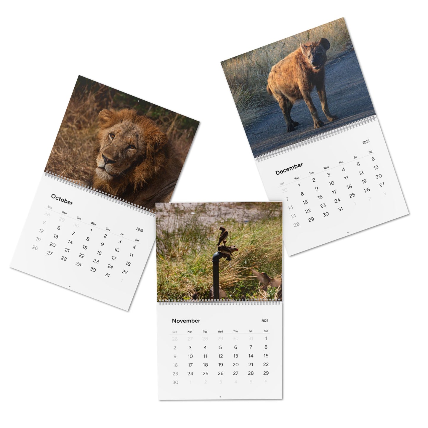 2025 Nature Wildlife Wall Calendar