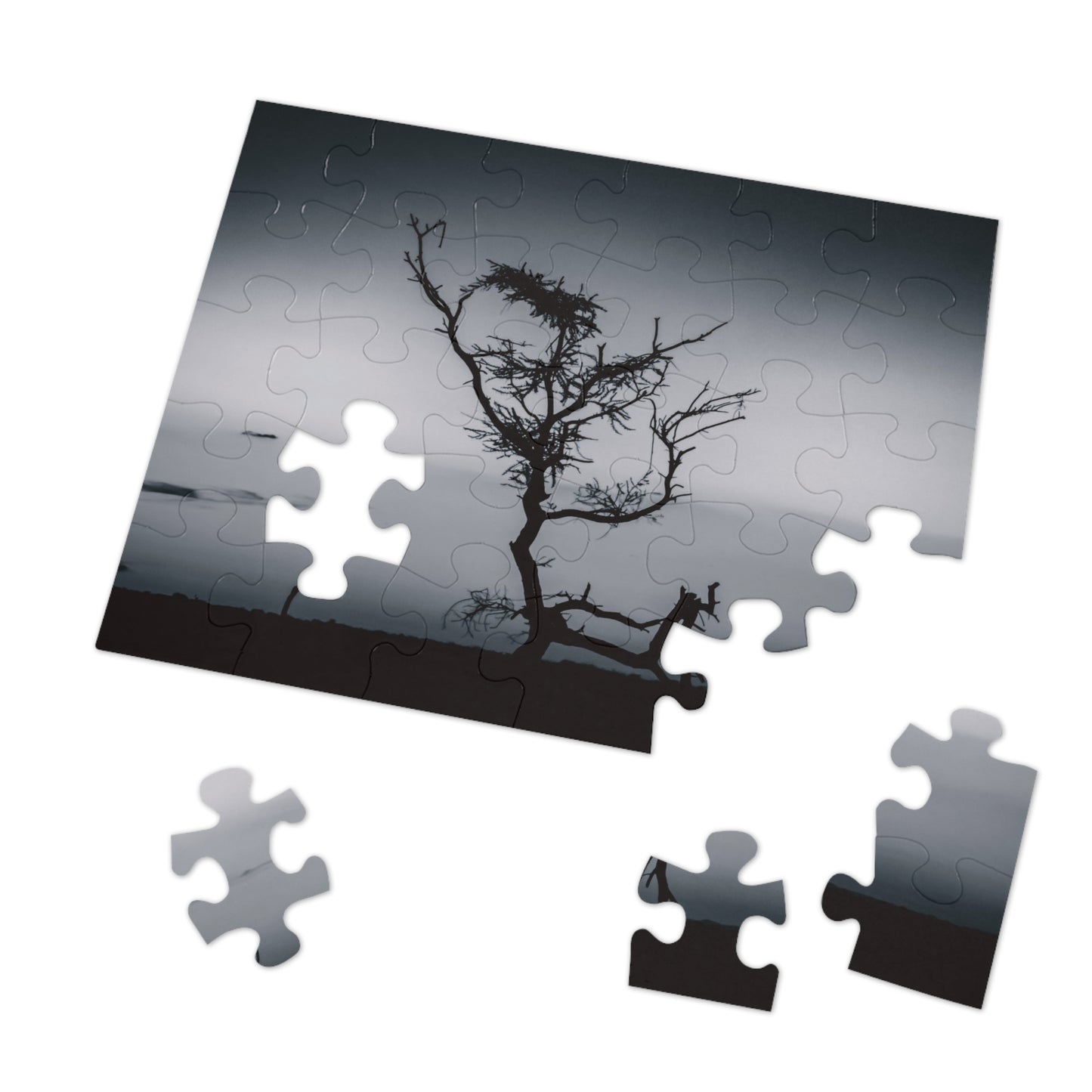 Kalahari Sunset Jigsaw Puzzle with Tin B&W