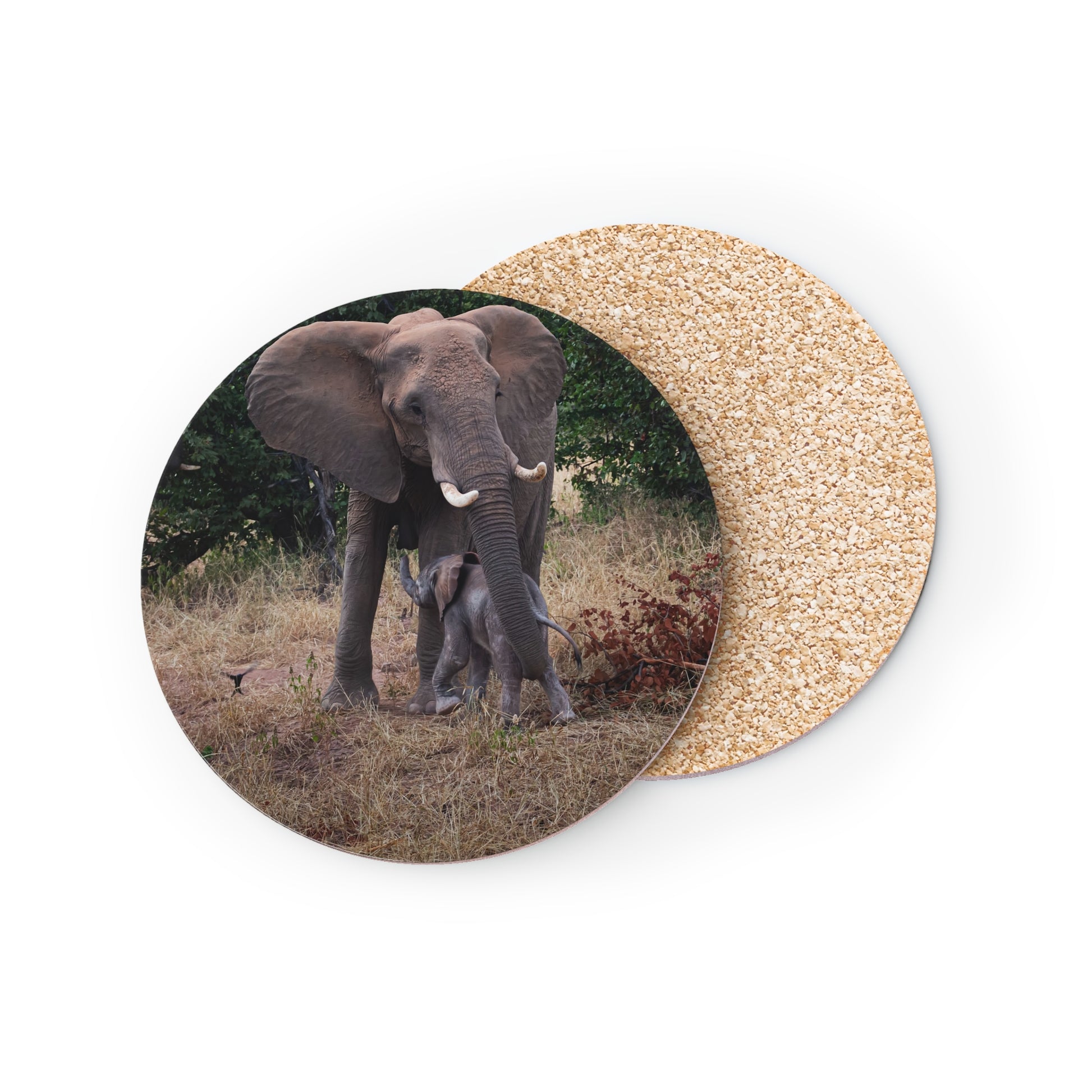 Calf Drinking Elephant Coasters Round 3.7" x 3.7" 1pc