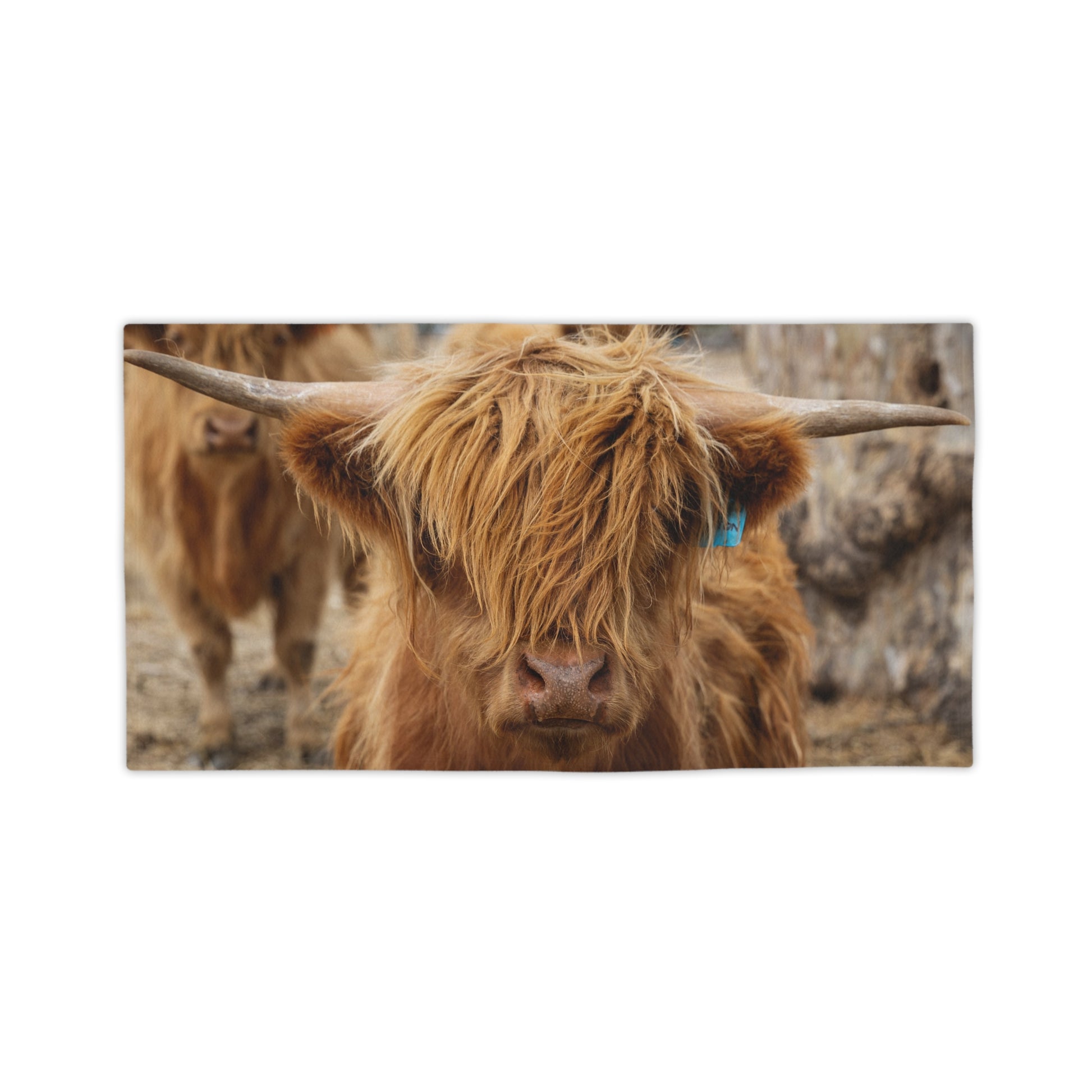 Scottish Highland Beach Towels