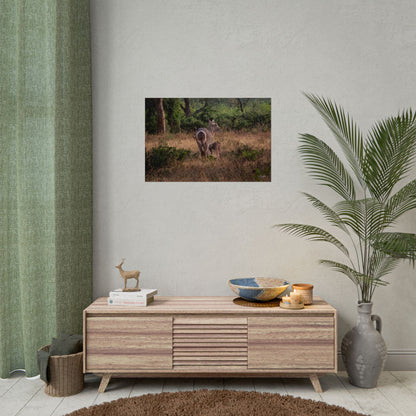 Rolled Posters - Waterbuck and Baby