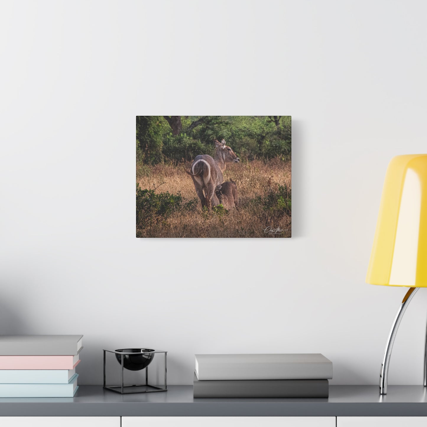 Matte Canvas, Stretched, 1.25" - Waterbuck and Baby