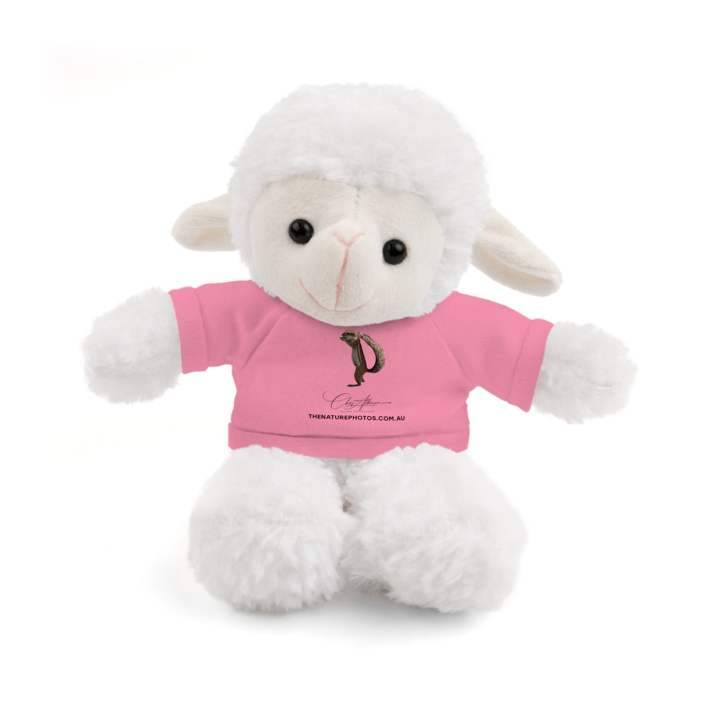 Teddy Sheep with Tee