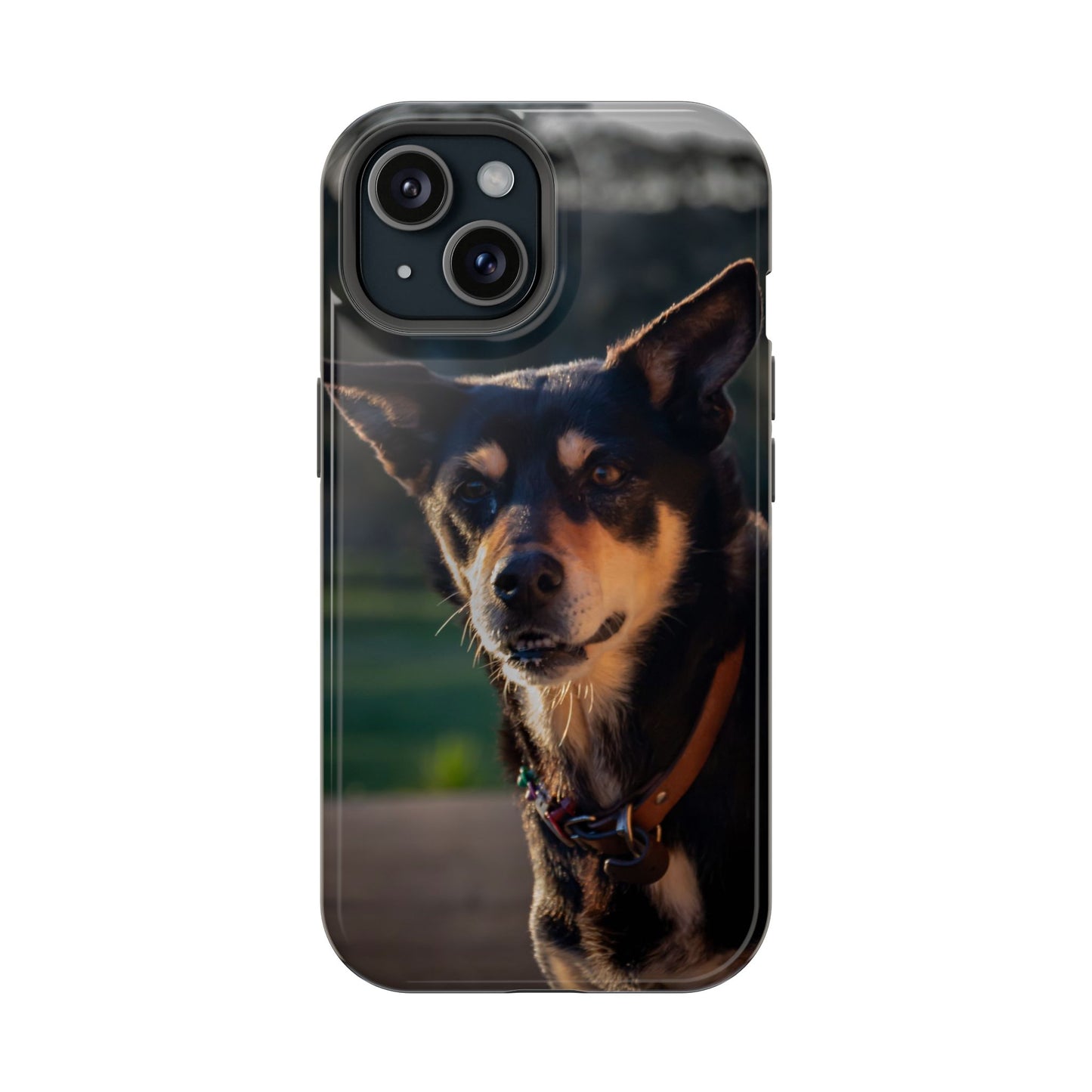 Magsafe® Compatible Tough Cases - Saba The Kelpie iPhone 15 Glossy