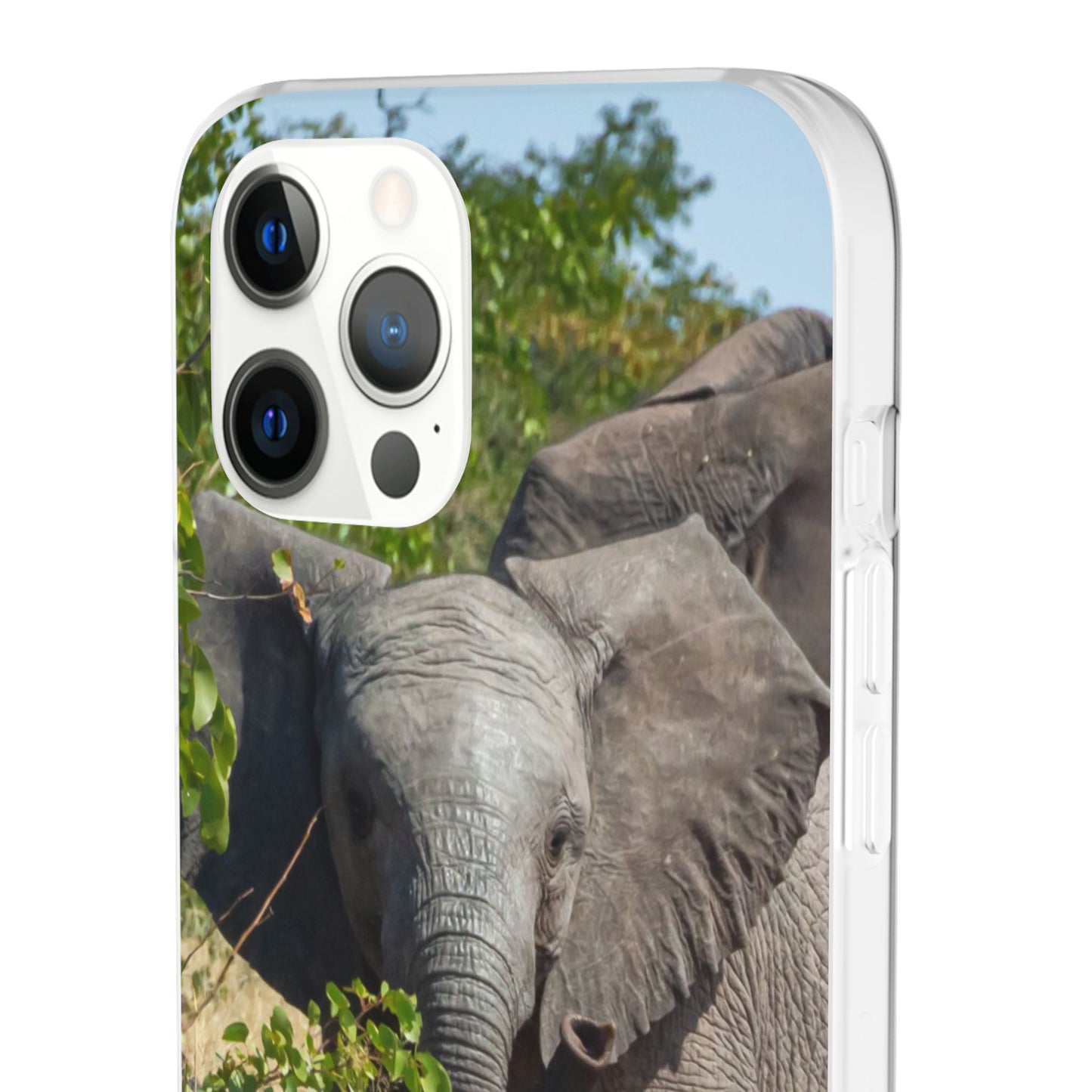 Flexi Cases - Young Elephant