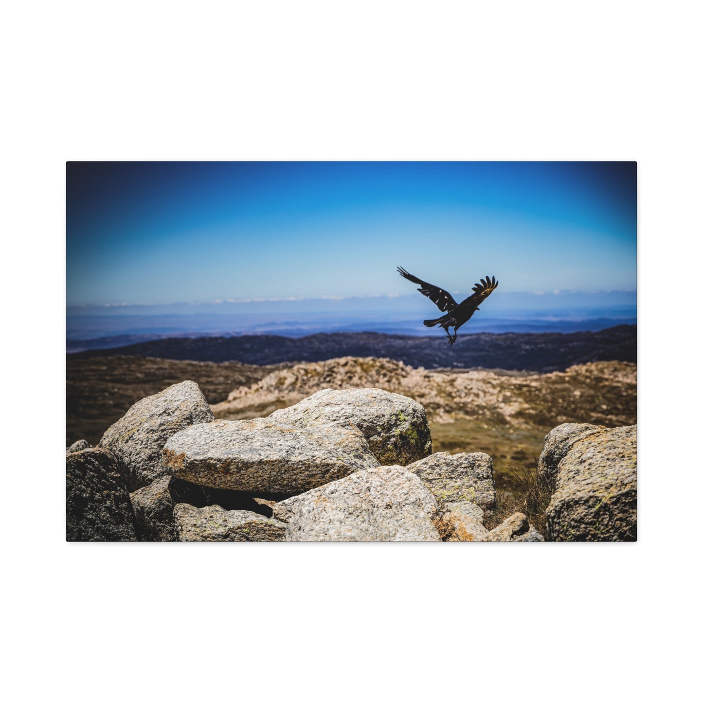 Little Raven Mt Kosciuszko Canvas Print 36″ x 24″ (Horizontal) 1.25"