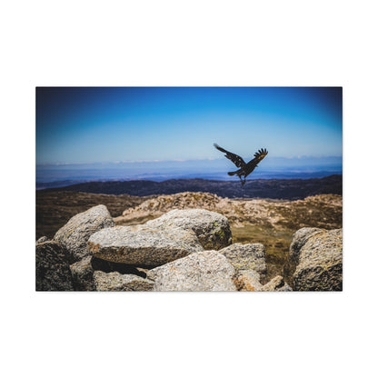 Little Raven Mt Kosciuszko Canvas Print 36″ x 24″ (Horizontal) 1.25"