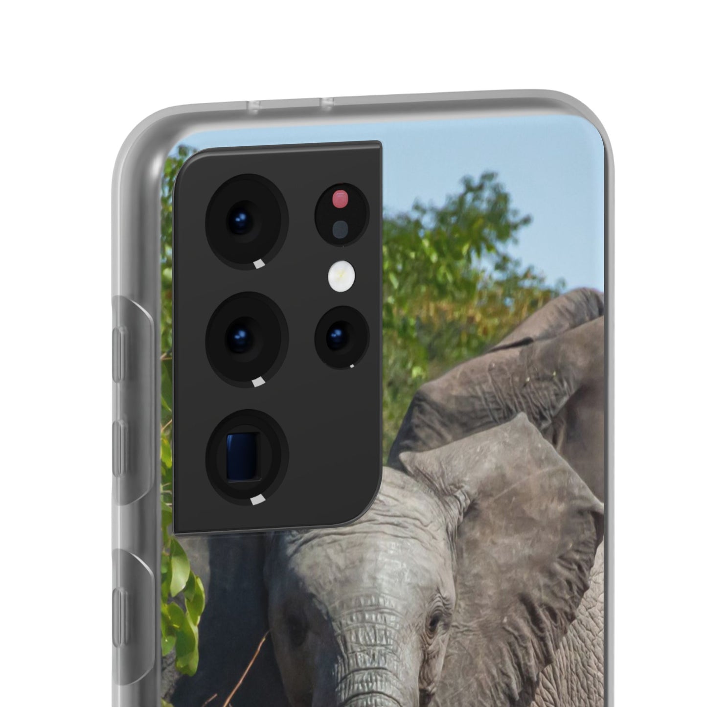 Flexi Cases - Young Elephant