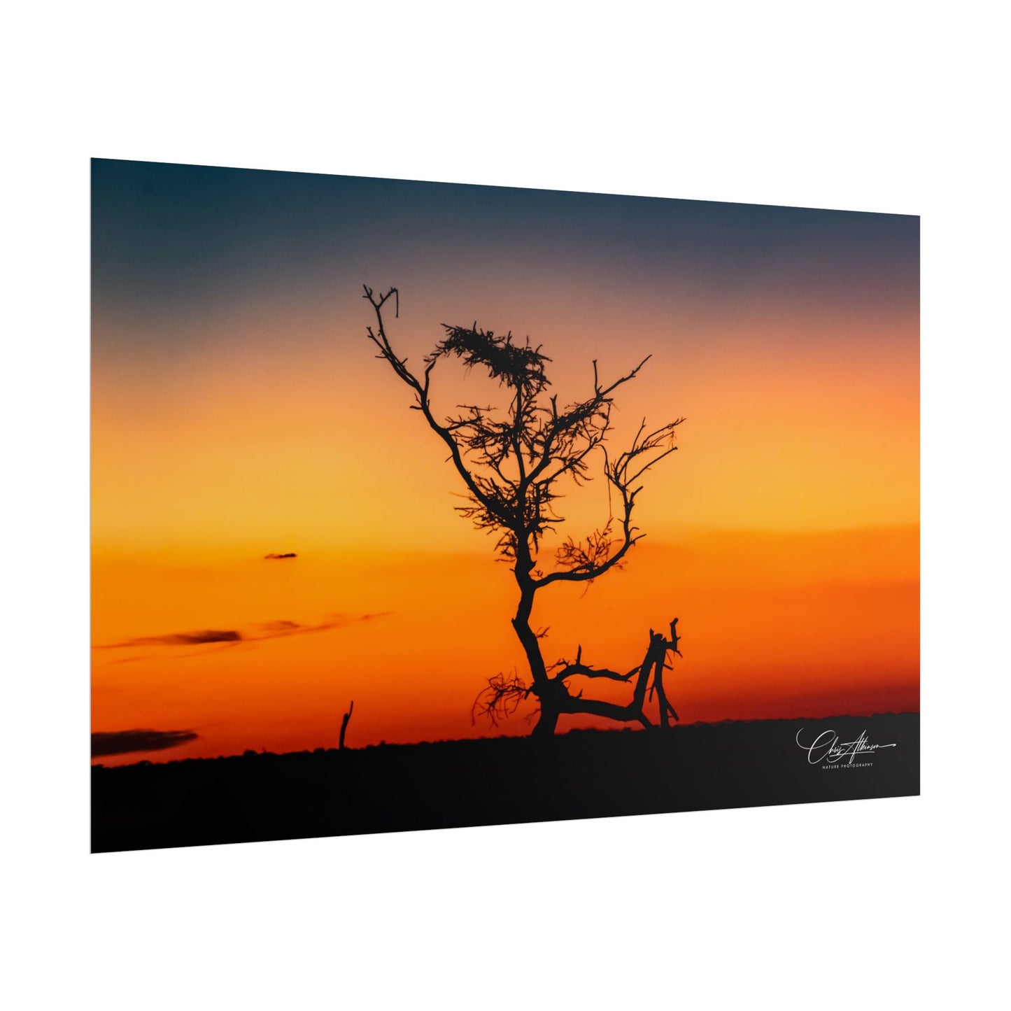 Rolled Posters - Sunset over the Kalahari