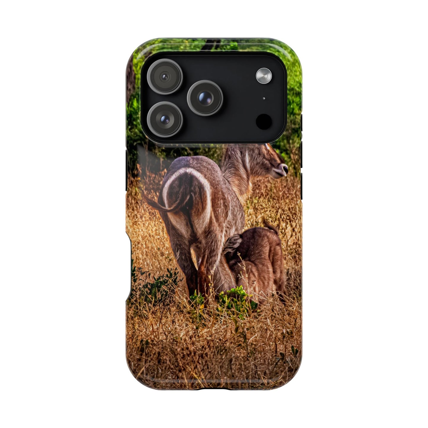 Waterbuck Baby Animal Phone Case - Magsafe iPhone 17 Pro Glossy