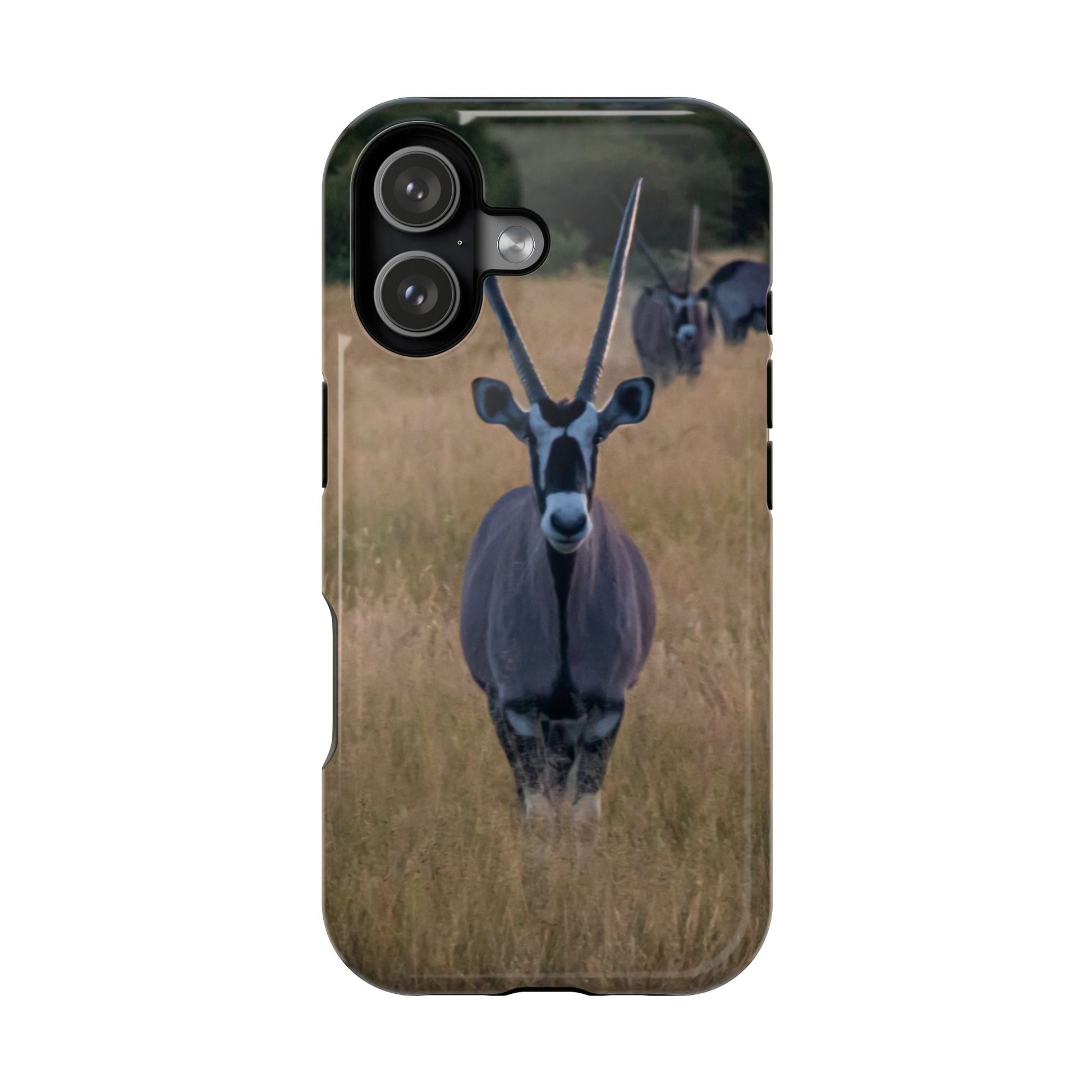 Gemsbok Oryx Magsafe Case iPhone 17 Glossy