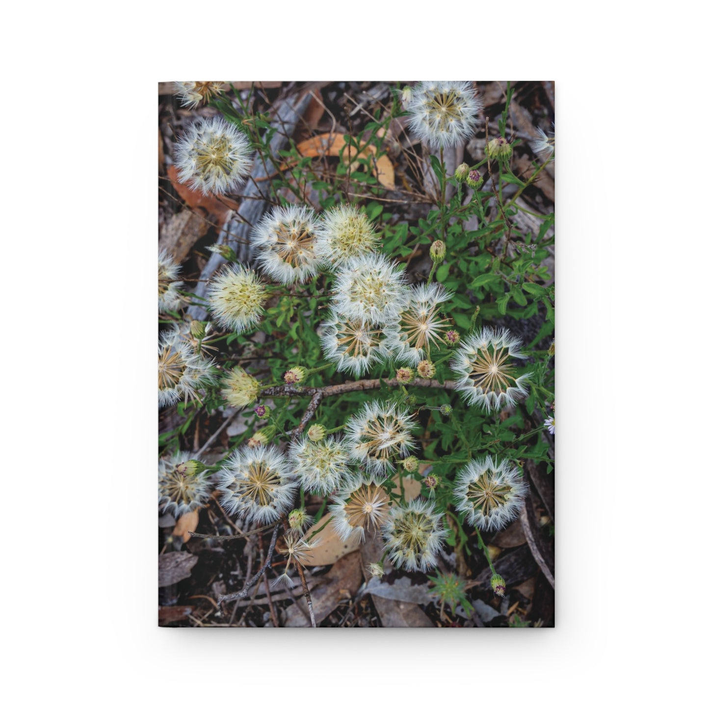 Hardcover Journal Matte - Australian Wildflower Collection