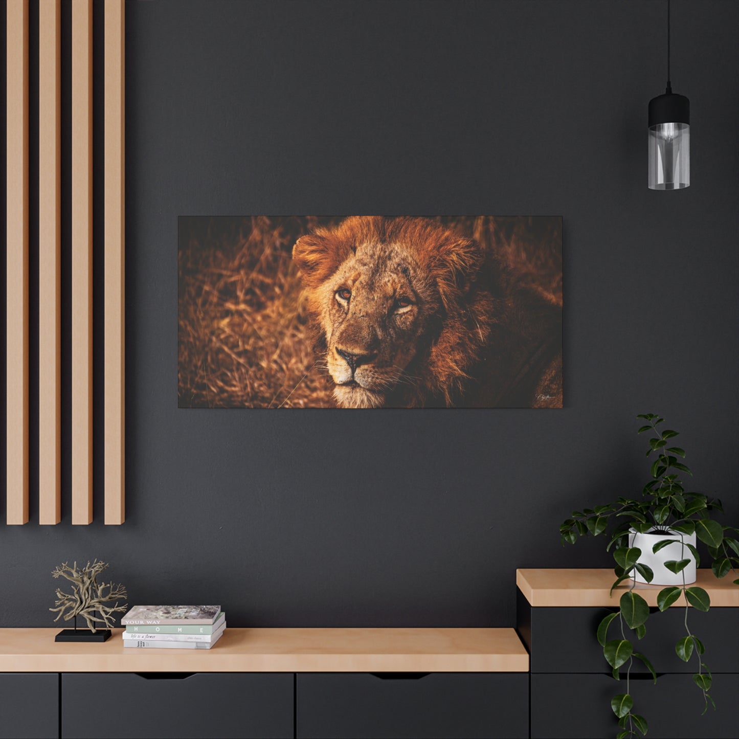 Old Lion Canvas Print