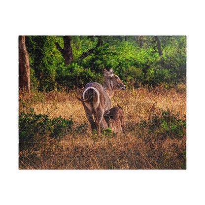 Waterbuck Photo Jigsaw Puzzle 110 pcs (Horizontal)