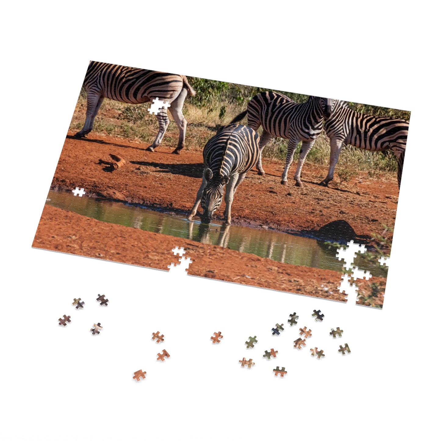 Jigsaw Puzzle (30, 110, 252, 500, 1000 Piece) - Zebra at Waterhole