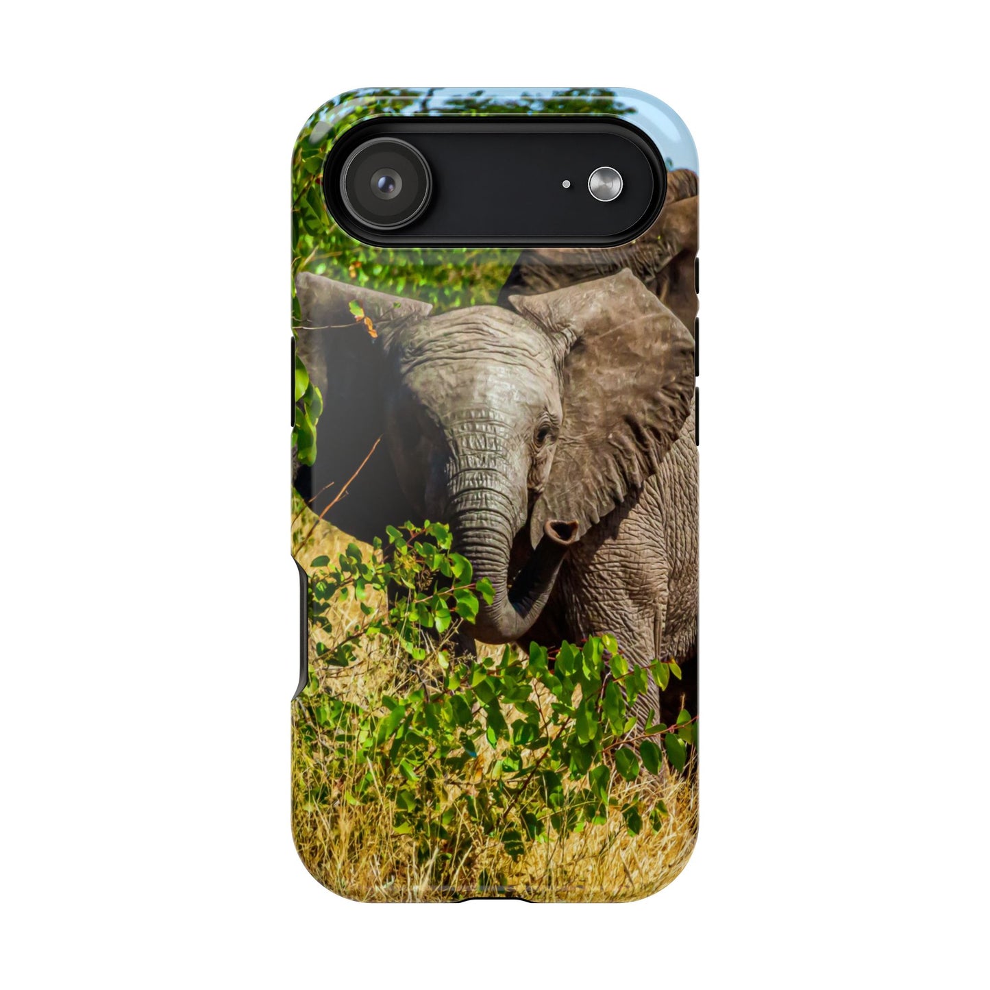 Magsafe® Compatible Tough Cases - Young Elephant iPhone 17 Air Glossy