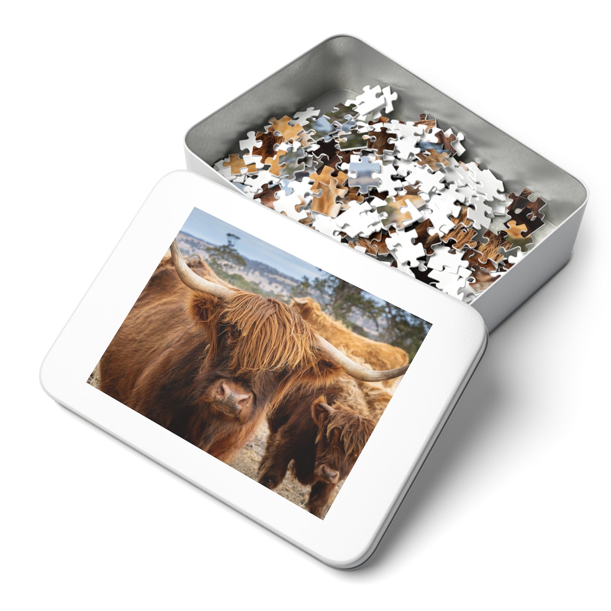 Scottish Highland Cattle Puzzle with Tin