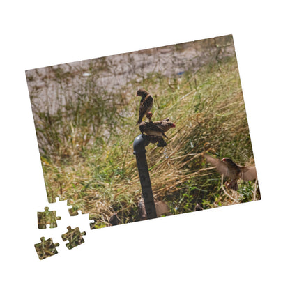 African Birds Jigsaw Puzzle