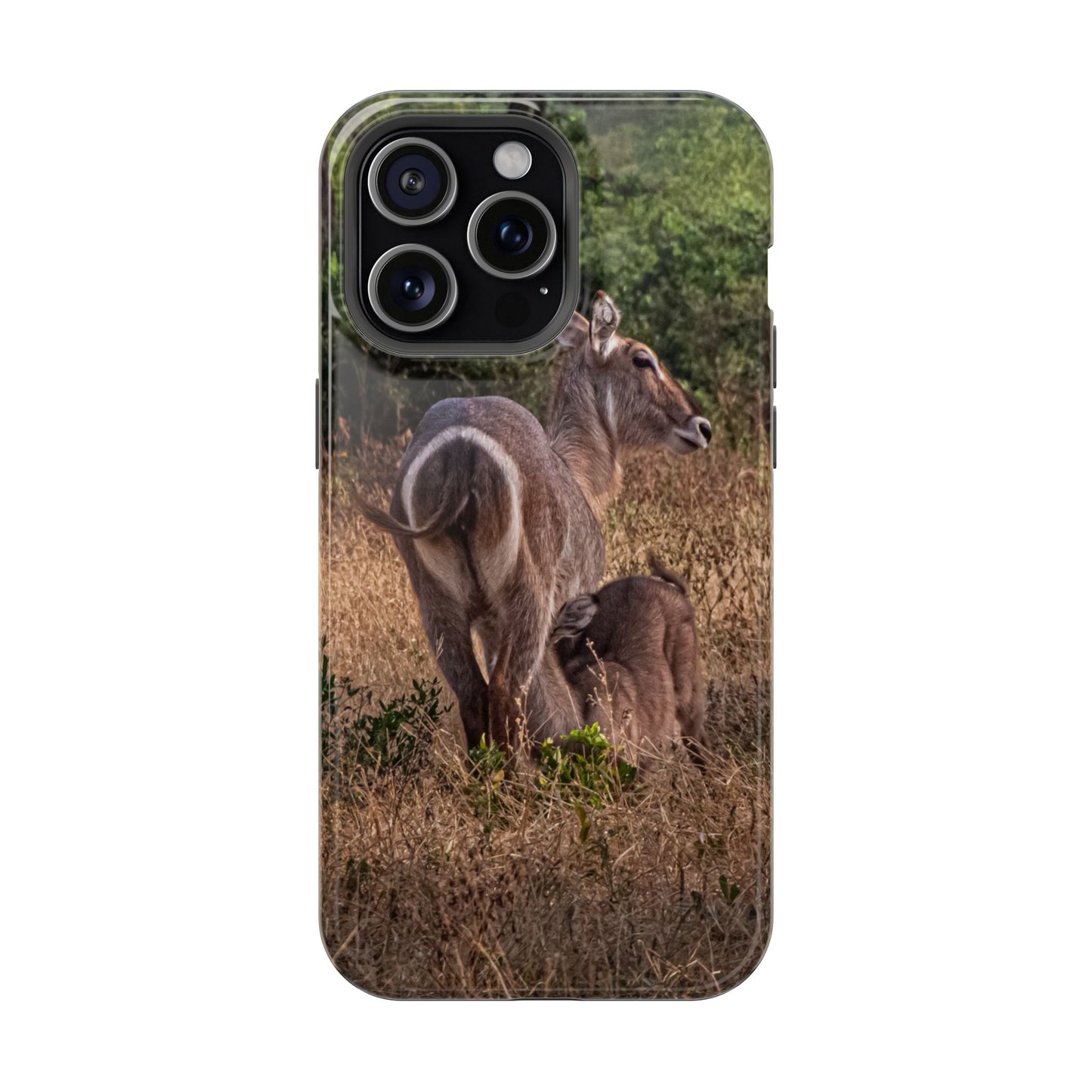 Magsafe® Compatible Tough Cases - Waterbuck and Baby