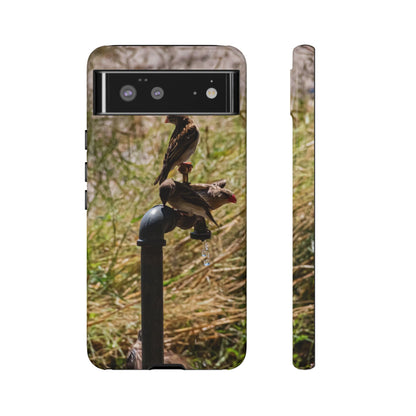 Tough Case - Birds at A Dripping Tap Google Pixel 6 Glossy