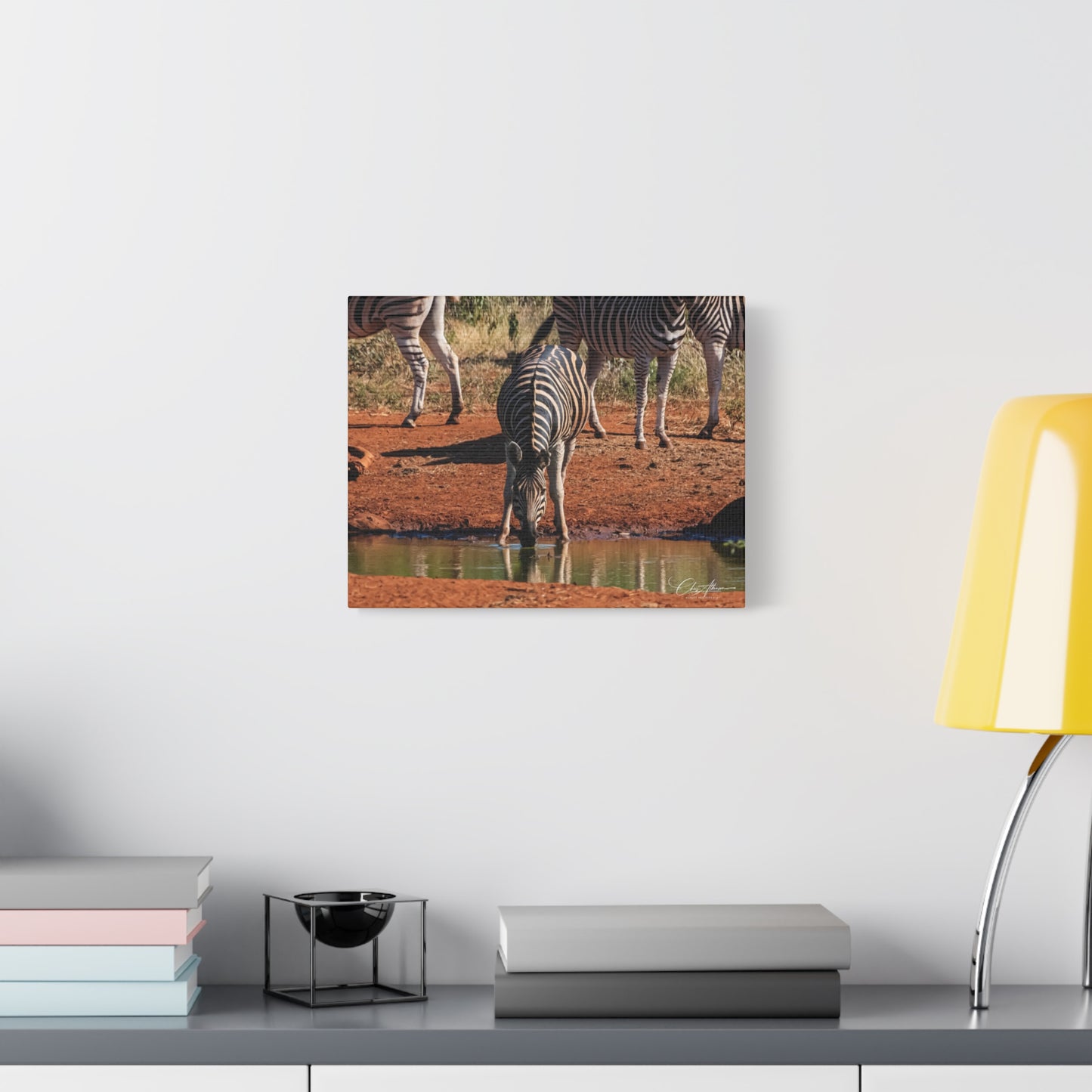 Matte Canvas, Stretched, 1.25" - Zebra at Waterhole