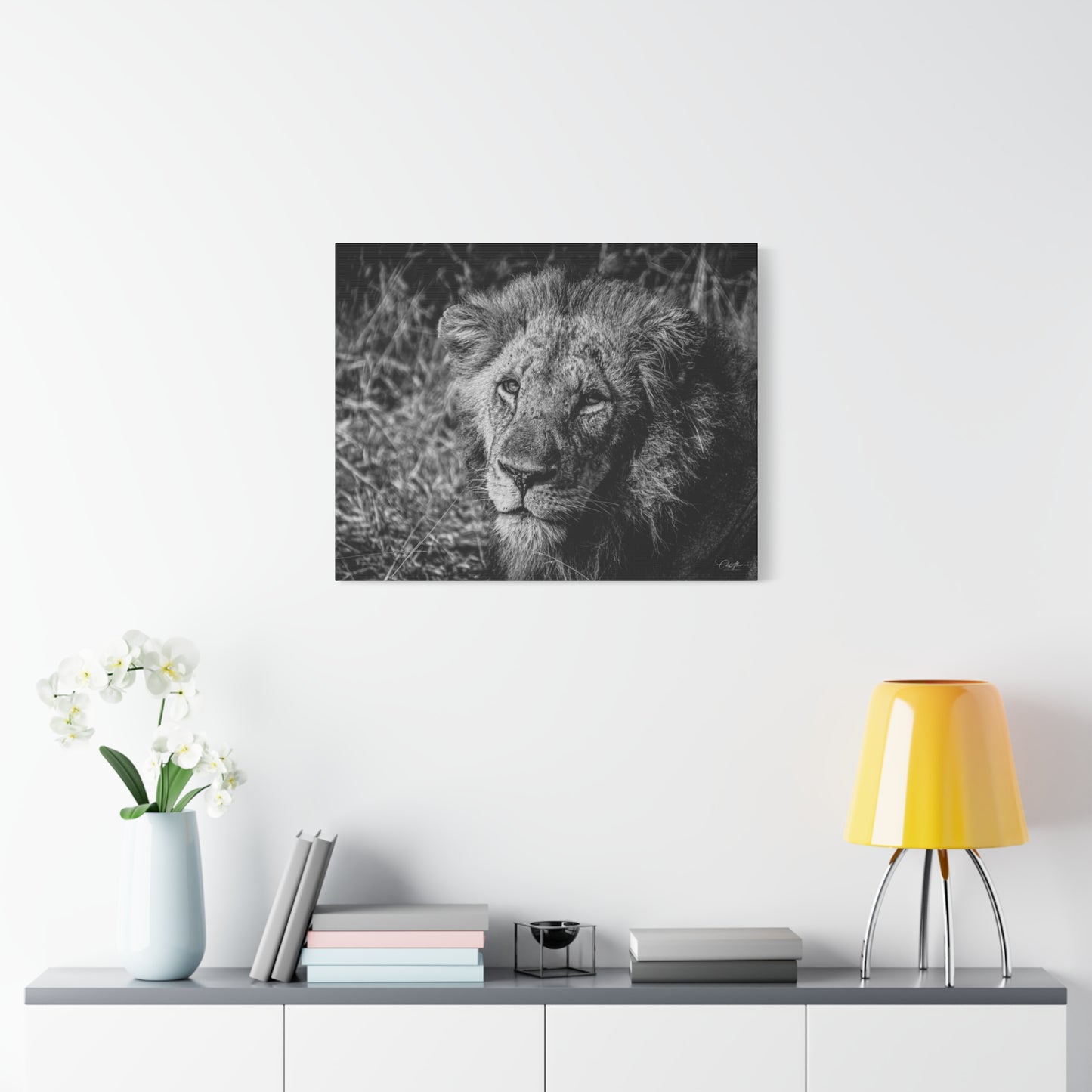 Old Lion Canvas Print B&W