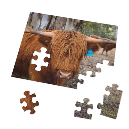 Jigsaw Puzzle (30, 110, 252, 500, 1000 Piece) - Scottish Highland Cattle