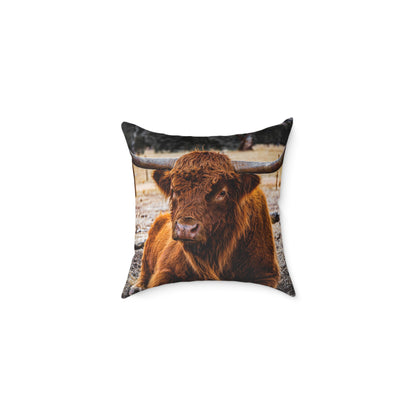 Highland Cattle Pillow 16" × 16"