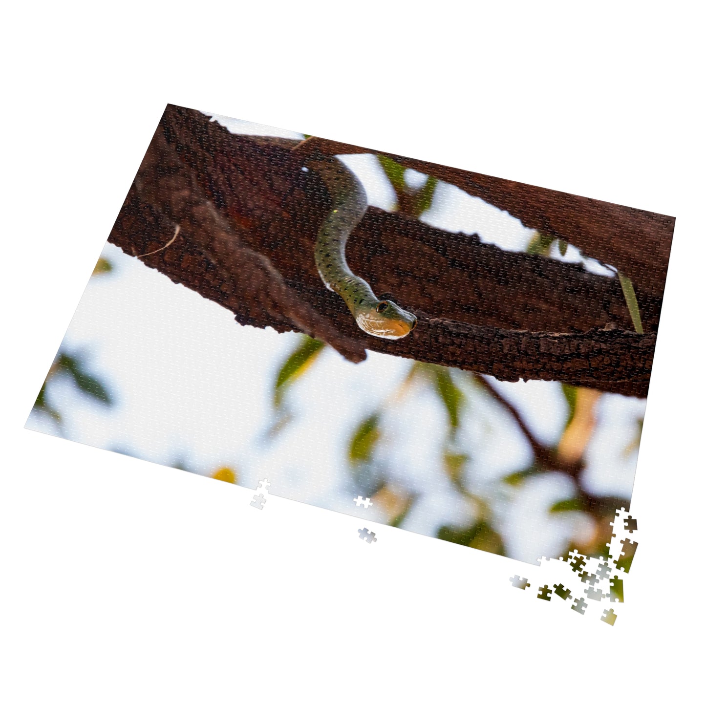 Spotted Bush Snake Puzzle with Tin