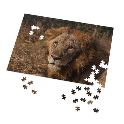 Jigsaw Puzzle (30, 110, 252, 500, 1000 Piece) - Old Lion