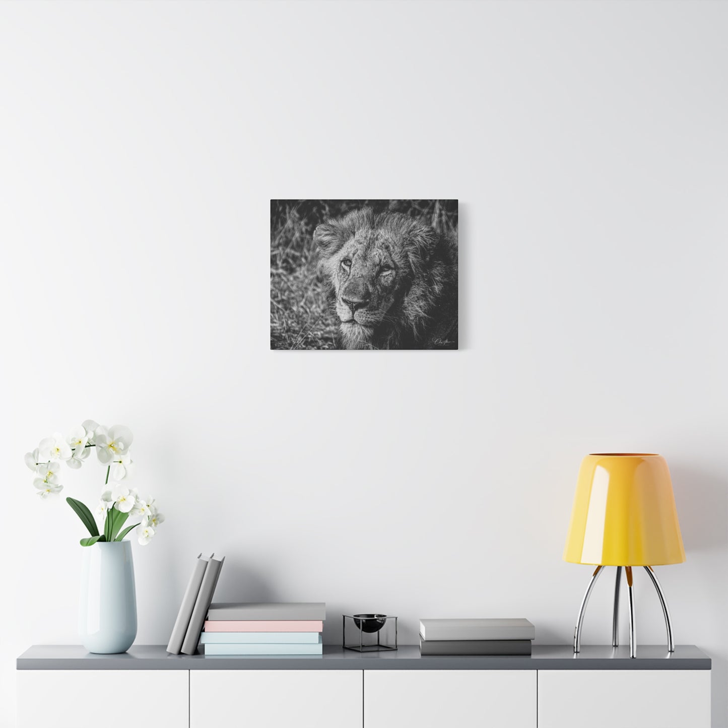 Old Lion Canvas Print B&W