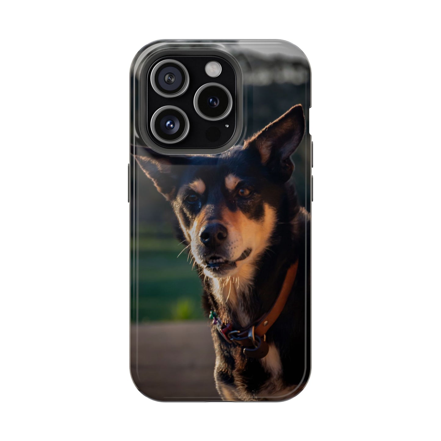 Magsafe® Compatible Tough Cases - Saba The Kelpie iPhone 15 Pro Glossy