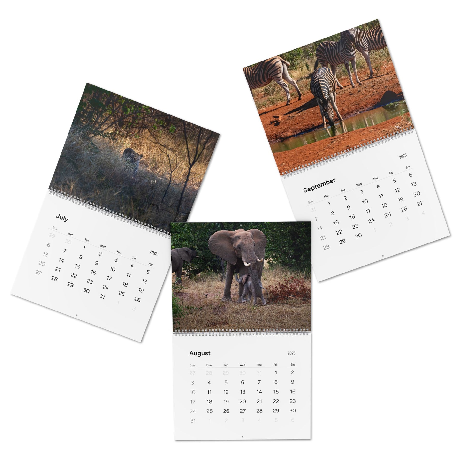 2025 Nature Wildlife Wall Calendar