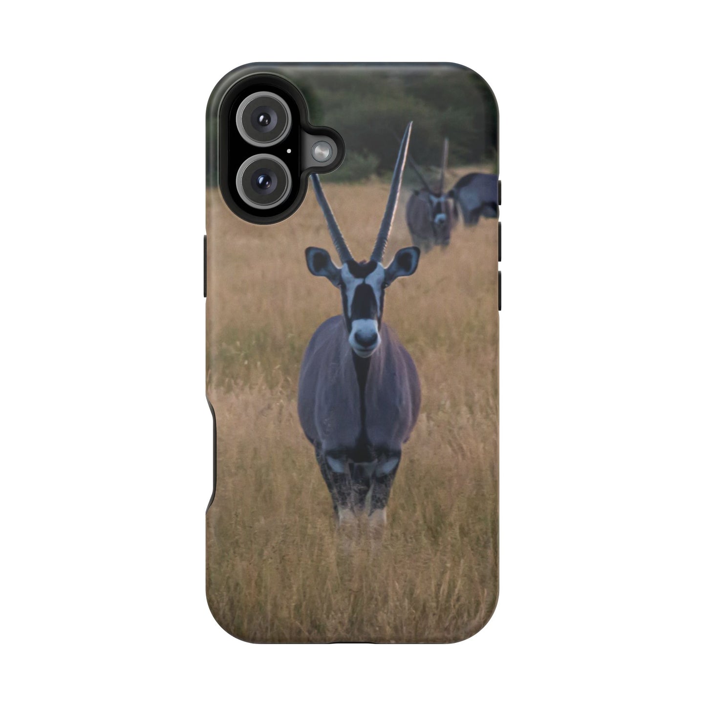 Gemsbok Oryx Magsafe Case iPhone 16 Plus Matte