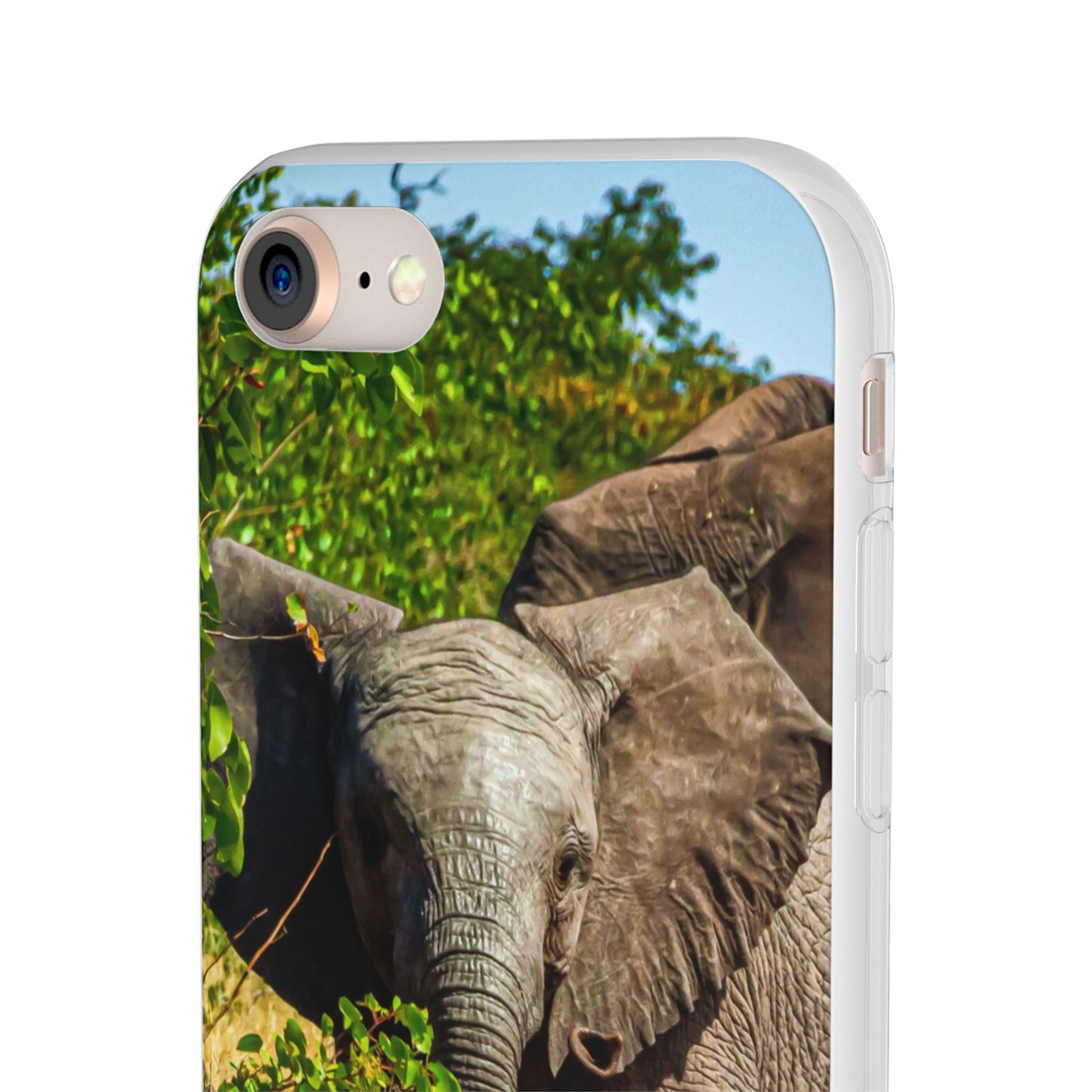 Flexible Young Elephant Cases