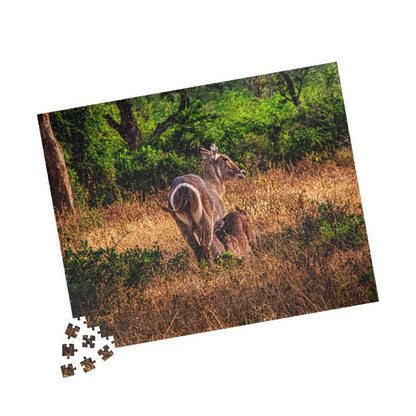 Waterbuck Photo Jigsaw Puzzle