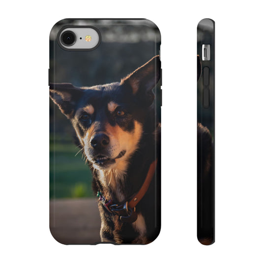 Tough Case - Saba the Kelpie iPhone 8 Glossy