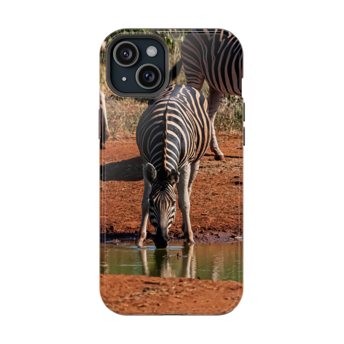 Magsafe® Compatible Tough Cases - Zebra Drinking iPhone 15 Plus Glossy