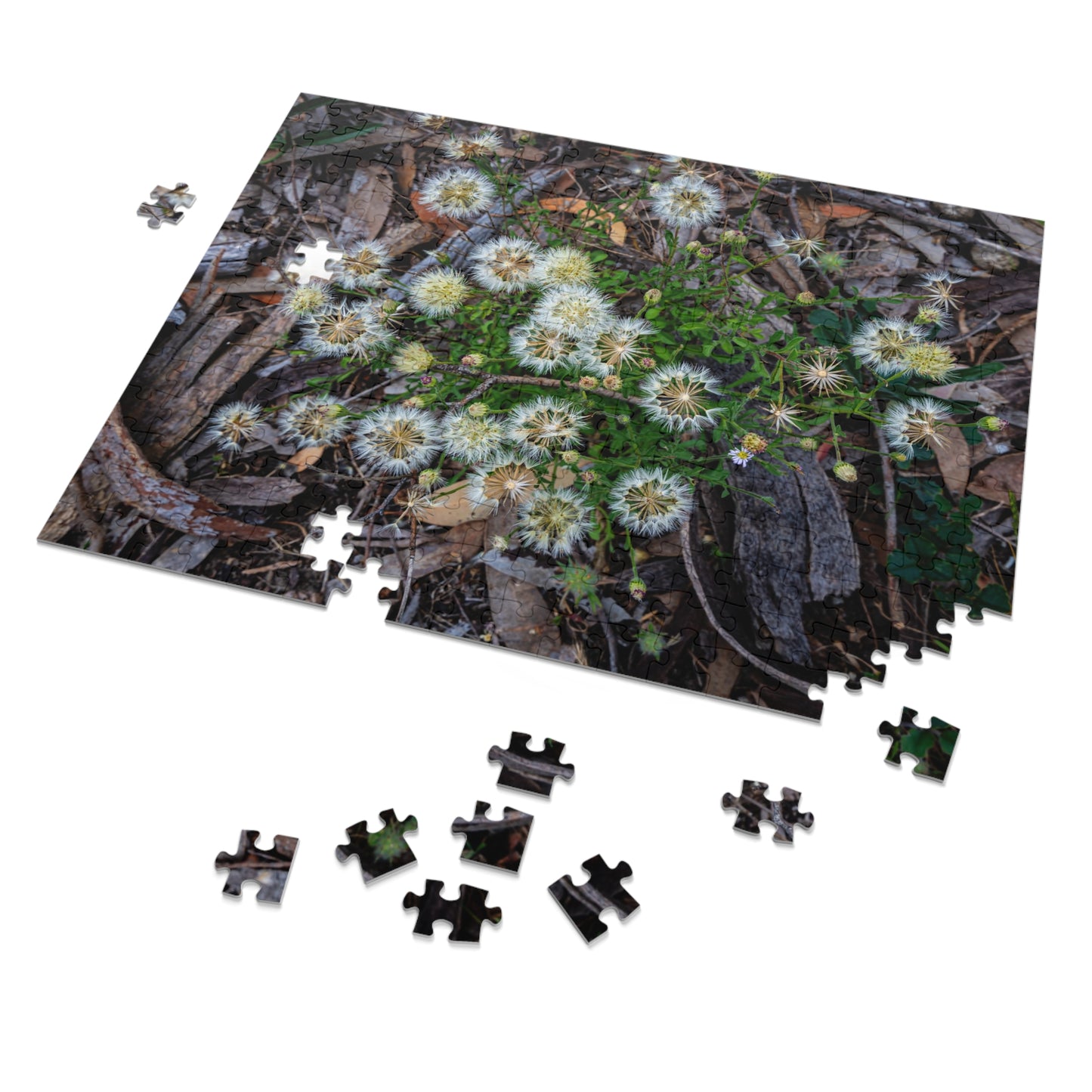 Jigsaw Puzzle (30, 110, 252, 500, 1000 Piece) - Australian Wildflower Collection