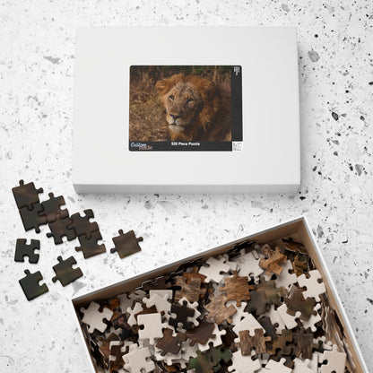 Puzzle (110, 252, 520, 1014-piece) - Old Lion