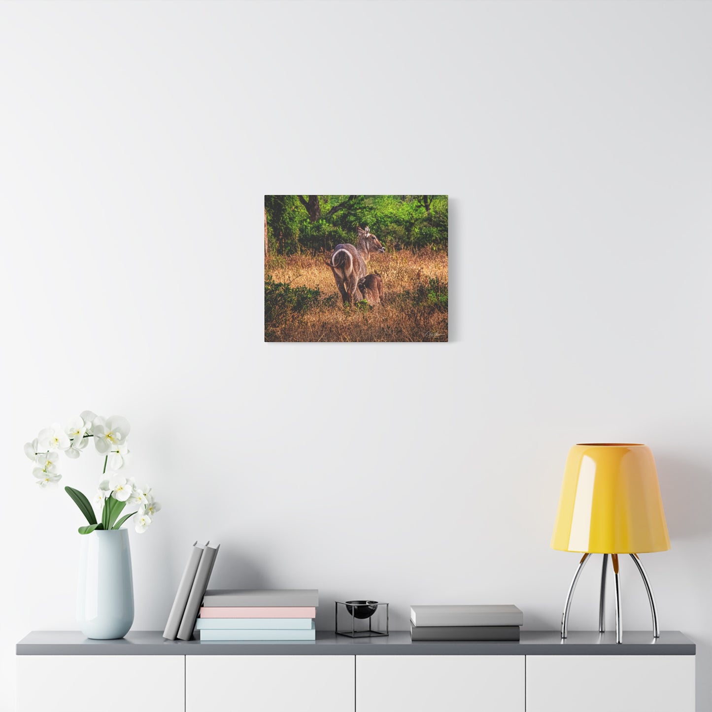 Waterbuck Nature Prints Matte Canvas