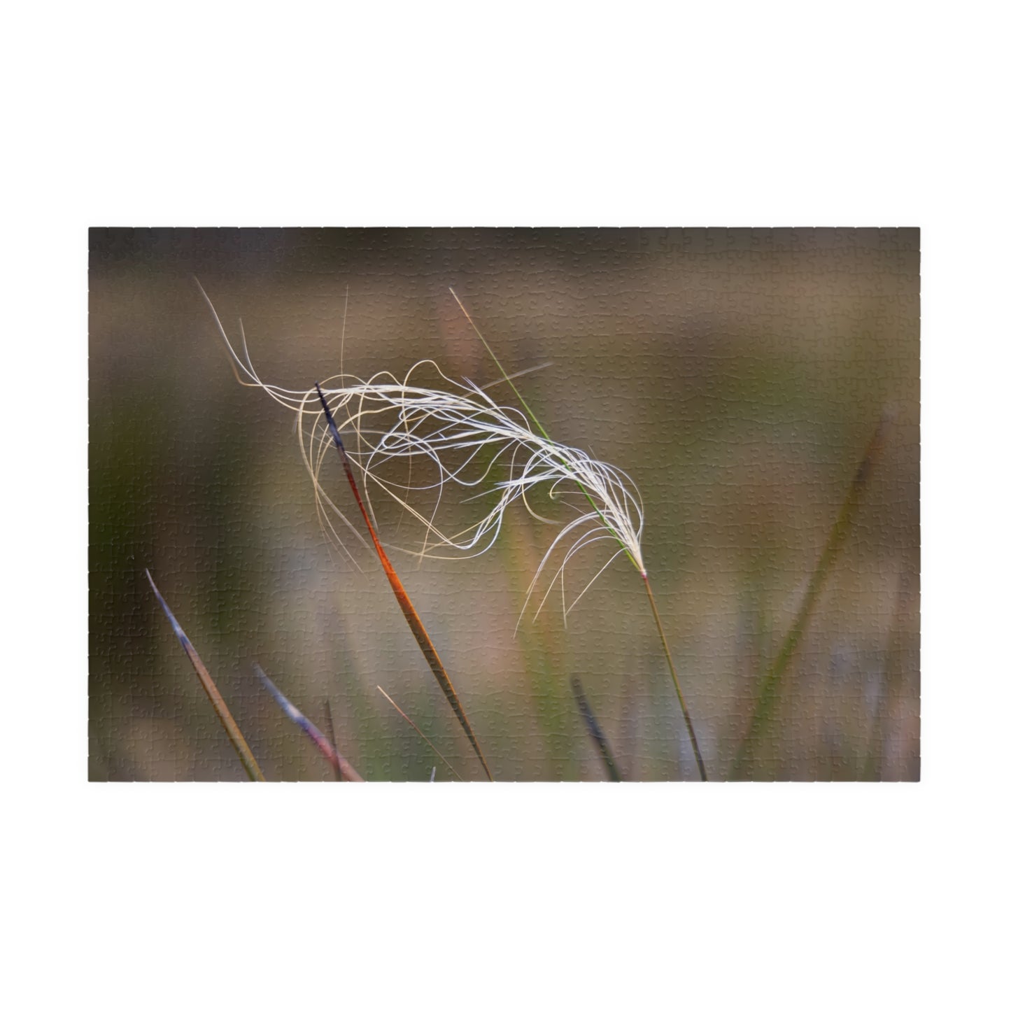 Australian Wildflower Jigsaw Puzzle