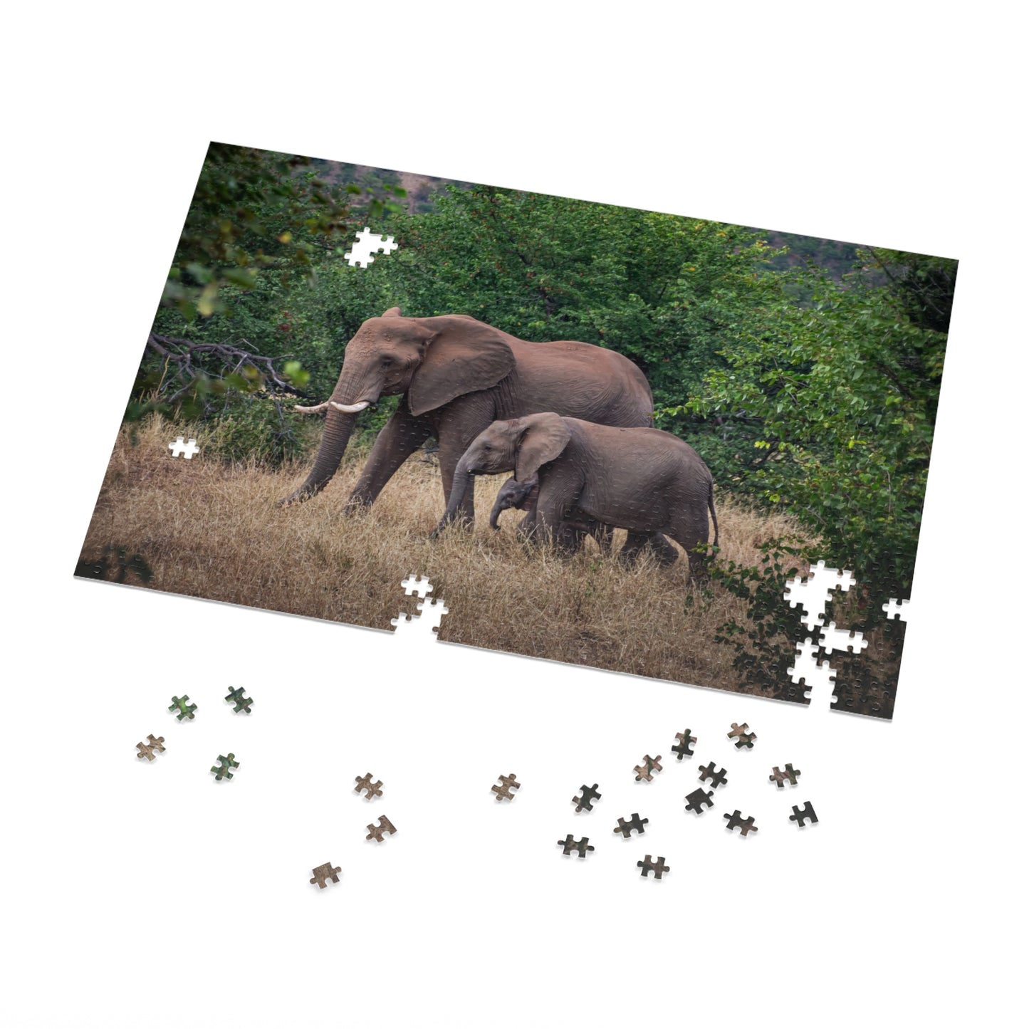 Jigsaw Puzzle (30, 110, 252, 500, 1000 Piece) - Elephant Family