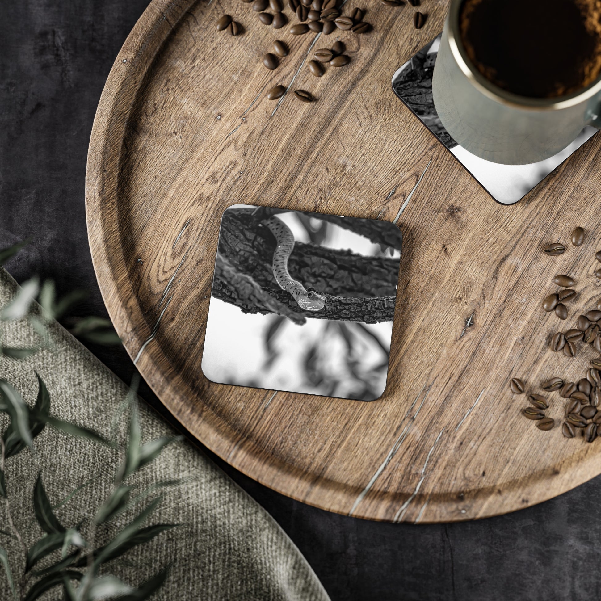 Spotted Bush Snake Coasters B&W