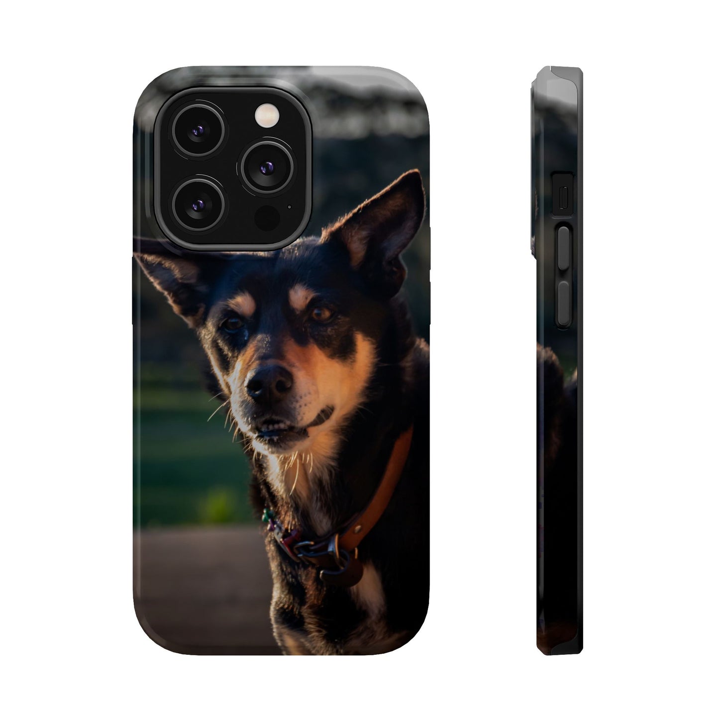 Magsafe® Compatible Tough Cases - Saba The Kelpie iPhone 14 Pro Glossy