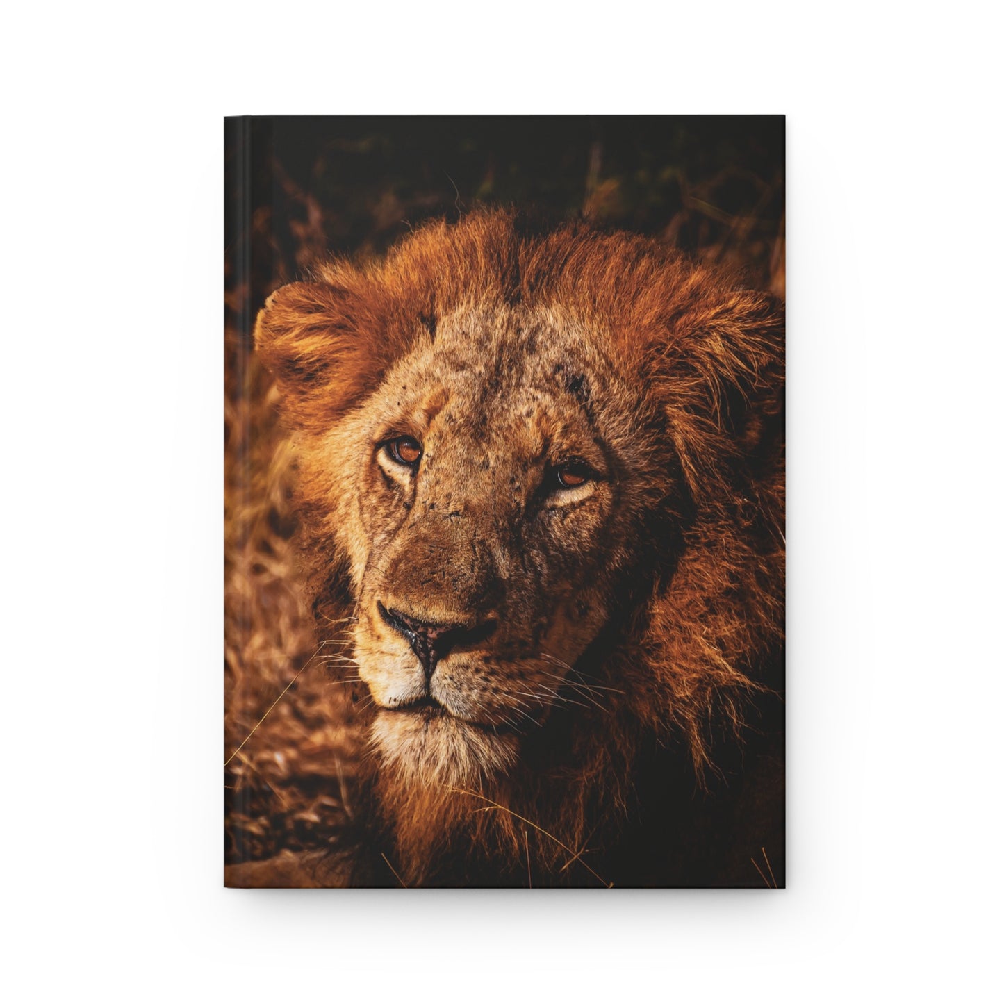 Old Lion Hardcover Journal