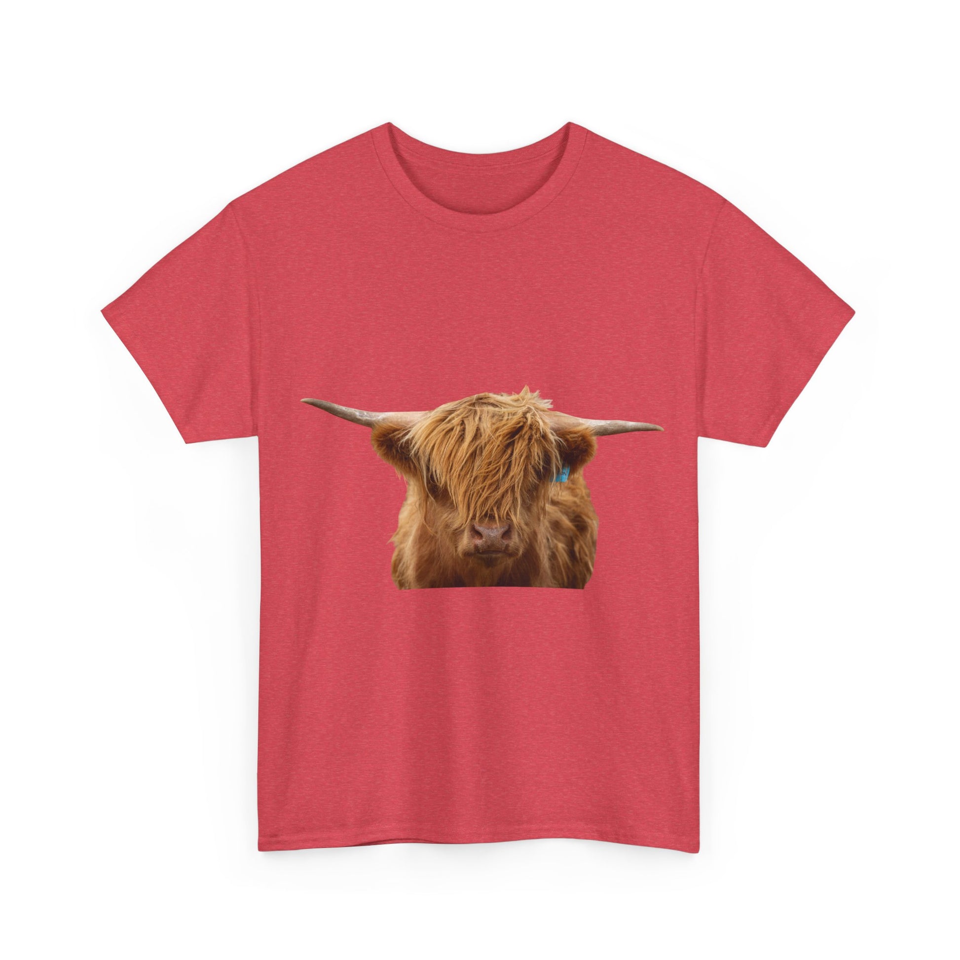 Highland Cow Tee