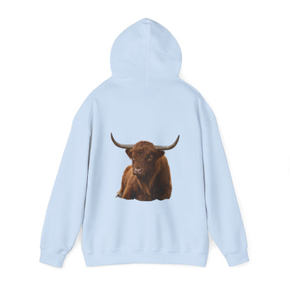 Highland Cattle Hoodie