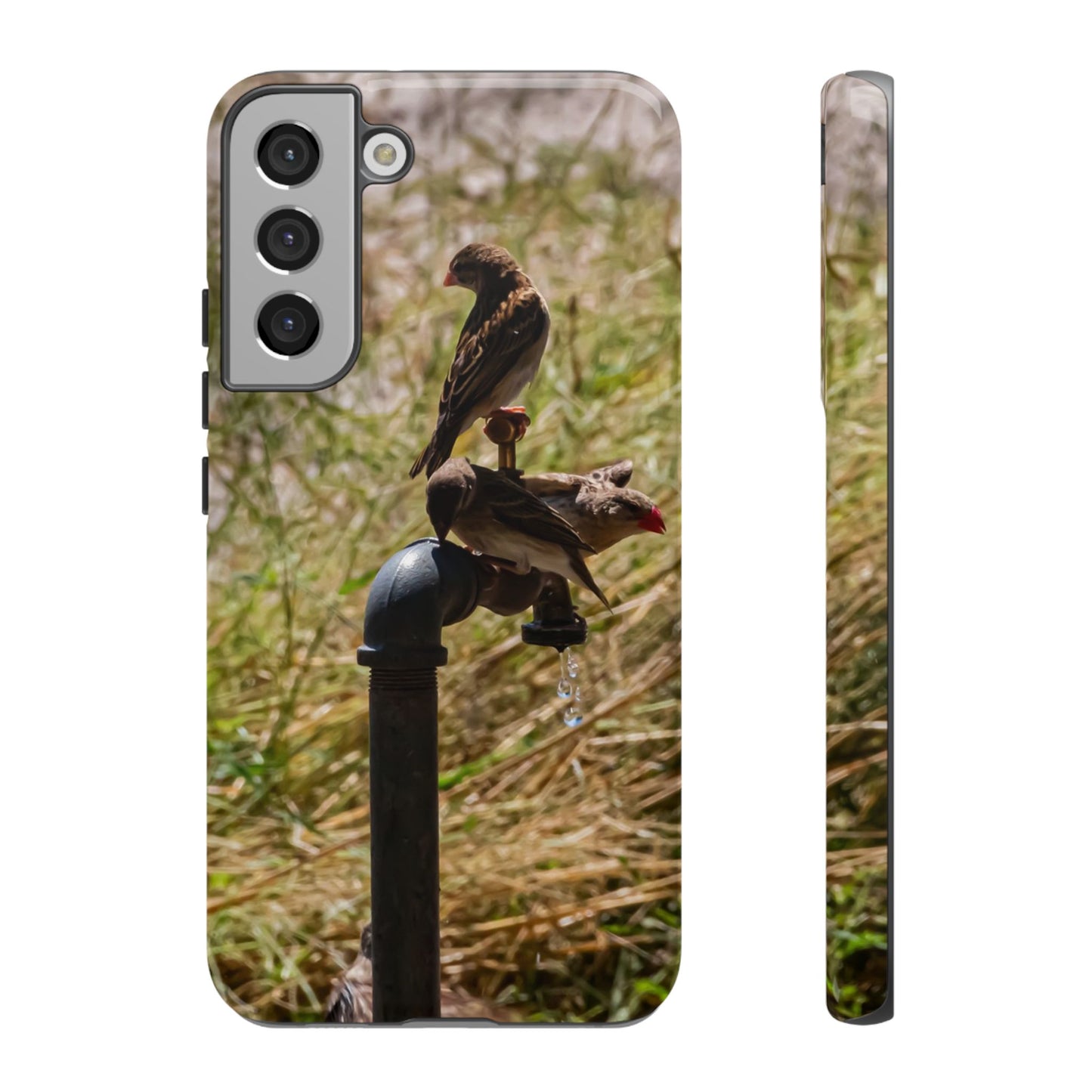 Tough Case - Birds at A Dripping Tap Samsung Galaxy S22 Plus Glossy