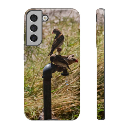 Tough Case - Birds at A Dripping Tap Samsung Galaxy S22 Plus Glossy